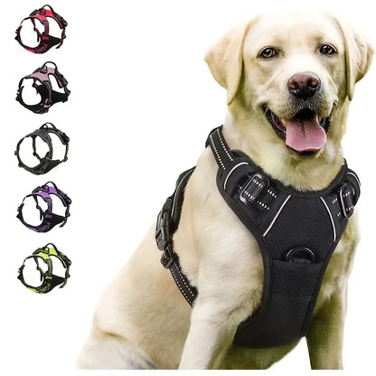 Leather Dog Collar & Harness Set