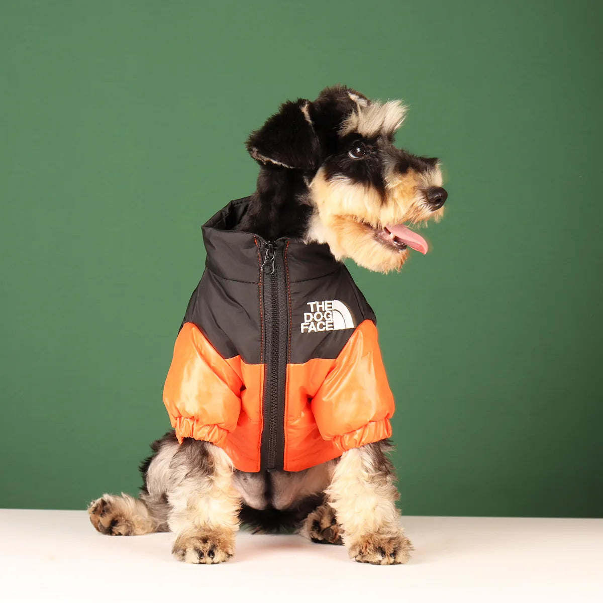 Winter Dog Windproof Jacket