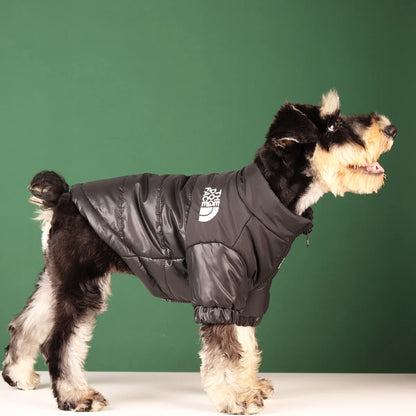 Winter Dog Windproof Jacket