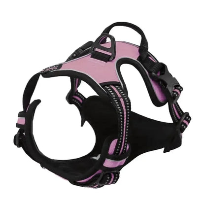 Leather Dog Collar & Harness Set