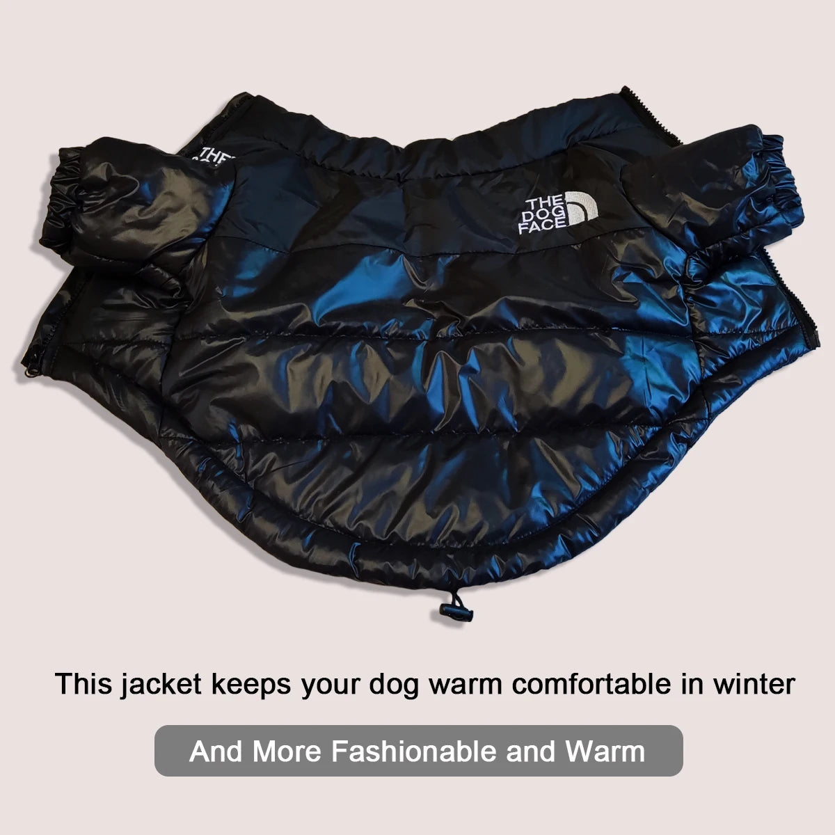 Winter Dog Windproof Jacket