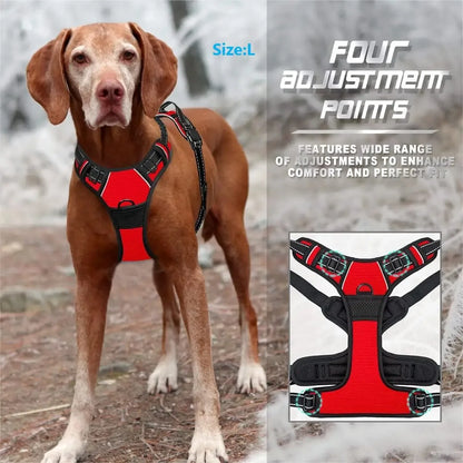 Leather Dog Collar & Harness Set